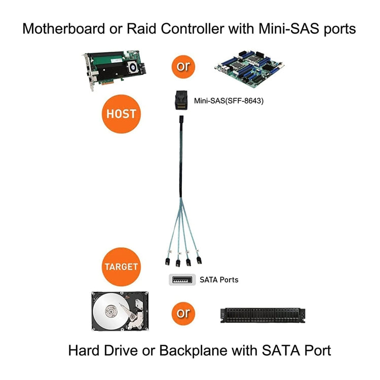 Mini SAS SFF-8643 Host a disco duro de destino SATA de 7 pines y 4 cables Raid de servidor de datos de 6 Gbps, longitud: 1 m, SFF-8643 (Length: 1m)