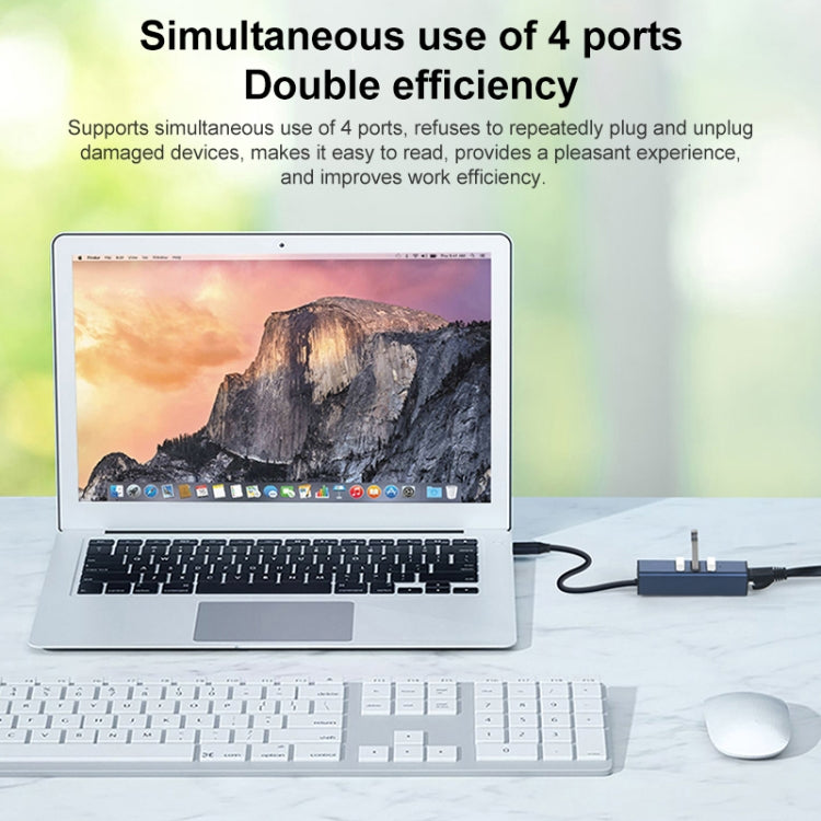 RDS 6307-3 USB-C / Type-C a USB3.0 + Dual USB2.0 + RJ45 Adaptador HUB 4 en 1, 6307-3