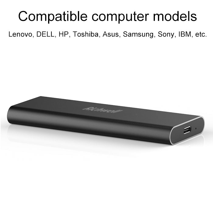 Richwell SSD R280-SSD-480GB Unidad de disco duro móvil de 480 GB para PC de escritorio, 480GB