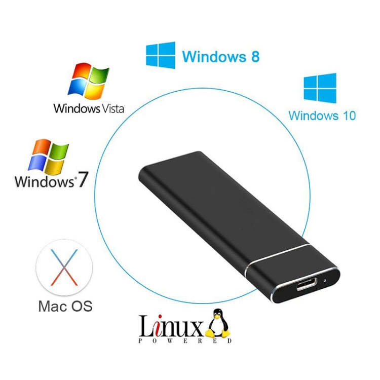 Carcasa SSD de aleación de aluminio con interfaz USB 3.1 M.2 NGFF a USB-C / Type-C, NGFF to USB Type-C Silver, NGFF to USB Type-C Black