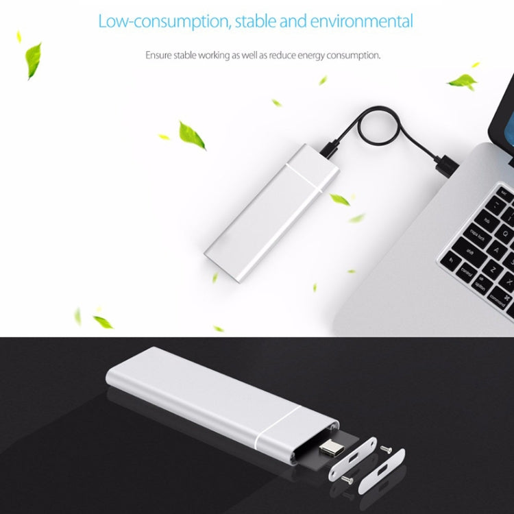 Carcasa SSD de aleación de aluminio con interfaz USB 3.1 M.2 NGFF a USB-C / Type-C, NGFF to USB Type-C Silver, NGFF to USB Type-C Black