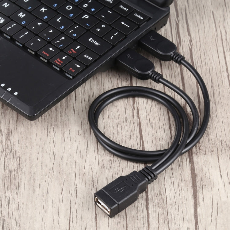 Cable USB hembra a 2 USB macho, longitud: unos 30 cm
