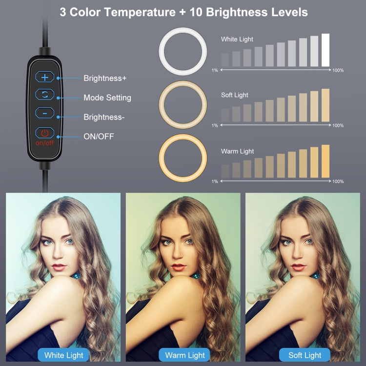 Soporte para trípode PULUZ + soporte para teléfono dual para transmisión en vivo + kits de luces de vídeo para vlogging con anillo LED de 6,2 pulgadas y 16 cm, 3 in 1