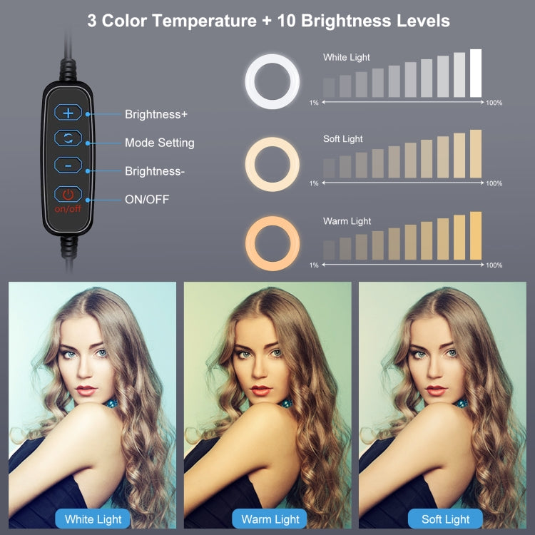 PULUZ 7.9 pulgadas 20 cm Luz + Base redonda Soporte de escritorio USB 3 modos Regulable Temperatura de color dual LED Anillo de luz curva Vlogging Selfie Fotografía Luces de video con abrazadera para teléfono, 7.9 inch+Desktop Mount