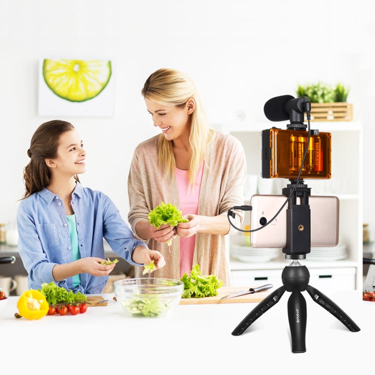 PULUZ-Kits de luz de vídeo para teléfono inteligente, transmisión en vivo, Vlogger, con micrófono, luz LED, soporte para trípode y abrazadera para teléfono, Mic + LED + Tripod + lamp