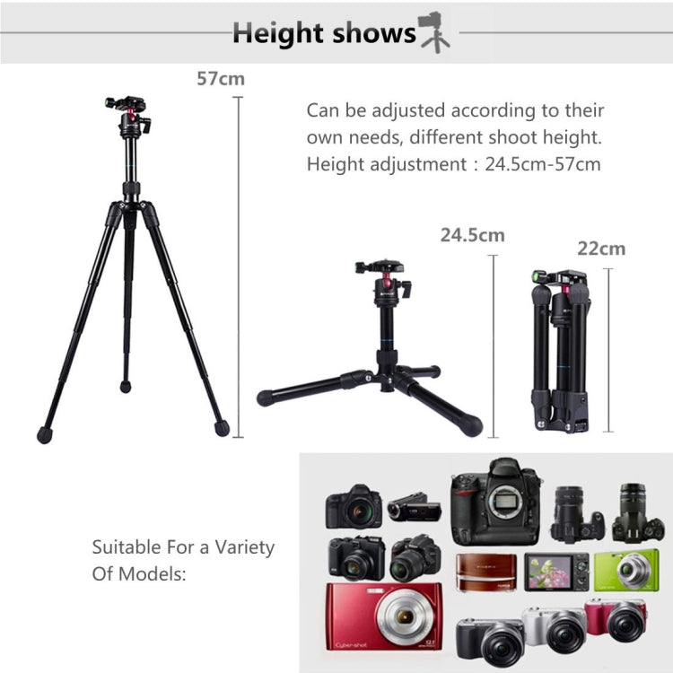 PULUZ Pocket Mini Microspur Photos Soporte para trípode de aleación de magnesio con rótula de bola de 360 grados para cámaras DSLR y digitales, altura ajustable: 24,5-57 cm, carga máxima: 3 kg, Microspur Tripod