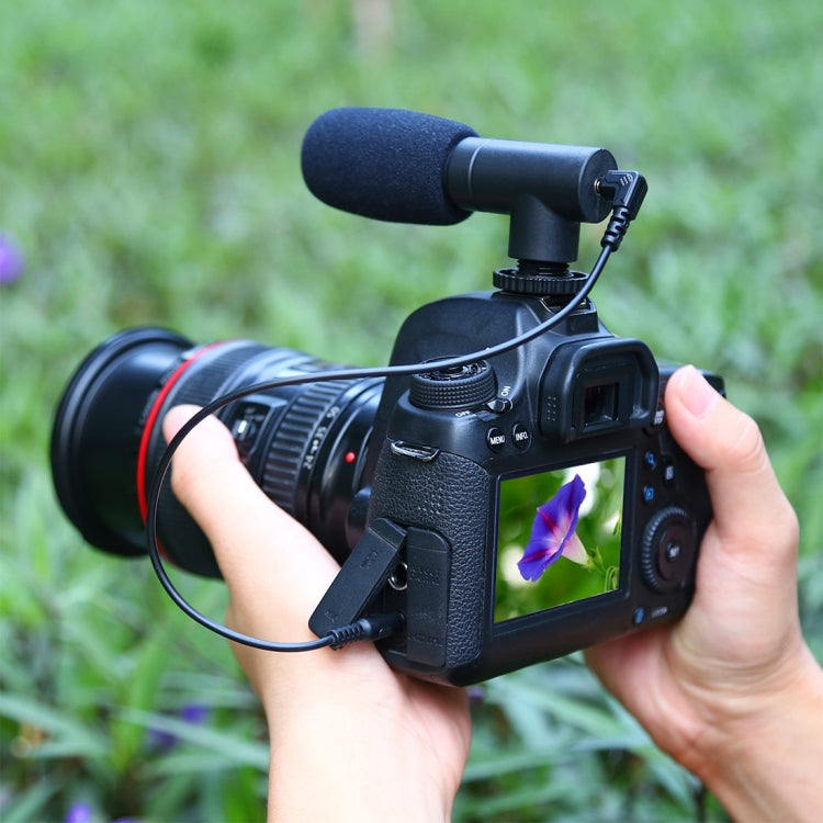 PULUZ Micrófono de entrevista profesional para grabación de audio estéreo de 3,5 mm Vlogging para videocámaras DSLR y DV, teléfonos inteligentes, Mini Microphone(AE), Mini Microphone