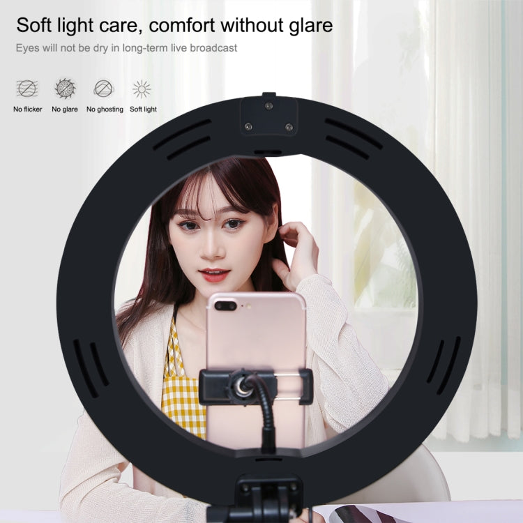 PULUZ 10.2 pulgadas 26 cm USB 3 modos Regulable Temperatura de doble color LED Anillo curvo Vlogging Selfie Fotografía Luces de video con obturador remoto Bluetooth y soporte de escritorio plegable y abrazadera para teléfono