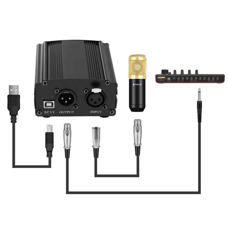 PULUZ Micrófono de Condensador Transmisión de Estudio Kits de Micrófono de Canto Profesional con Brazo de Tijera de Suspensión y Soporte de Choque de Metal y Tarjeta de Sonido USB, Alimentación por 48V, 48V Microphone Kits (Gold)