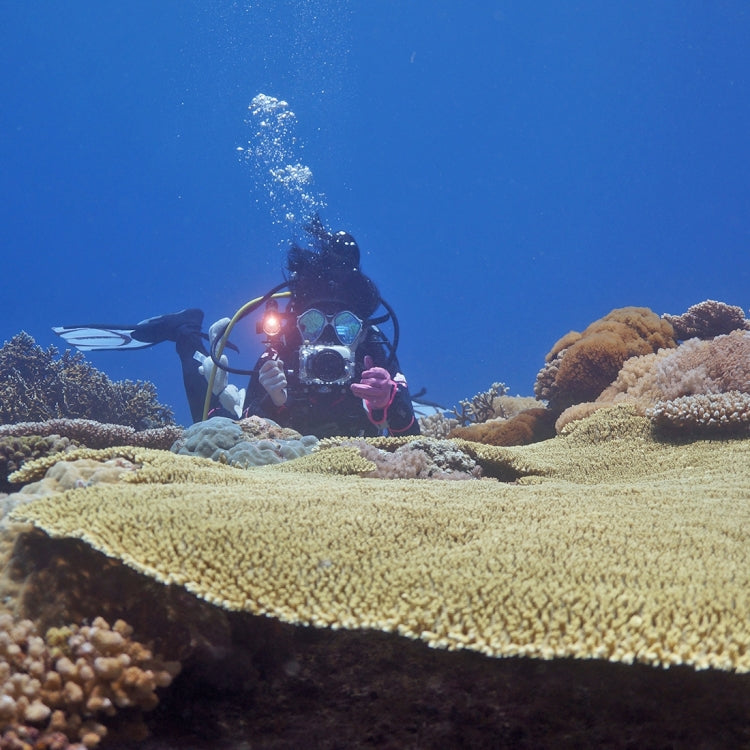 PULUZ 40m Estuche de buceo de profundidad subacuática Carcasa de cámara impermeable para Sony RX100 III, For RX100 III