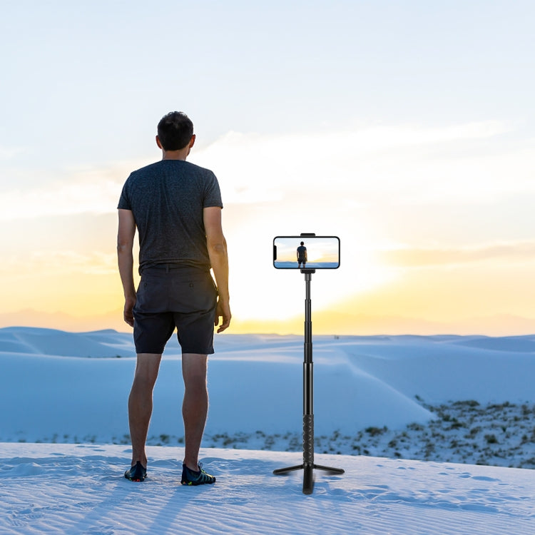 PULUZ Monopod de palo selfie de metal de 110 cm con base adaptadora invisible y tornillo para Insta360 One RS / X2 / X3, 110cm Monopod