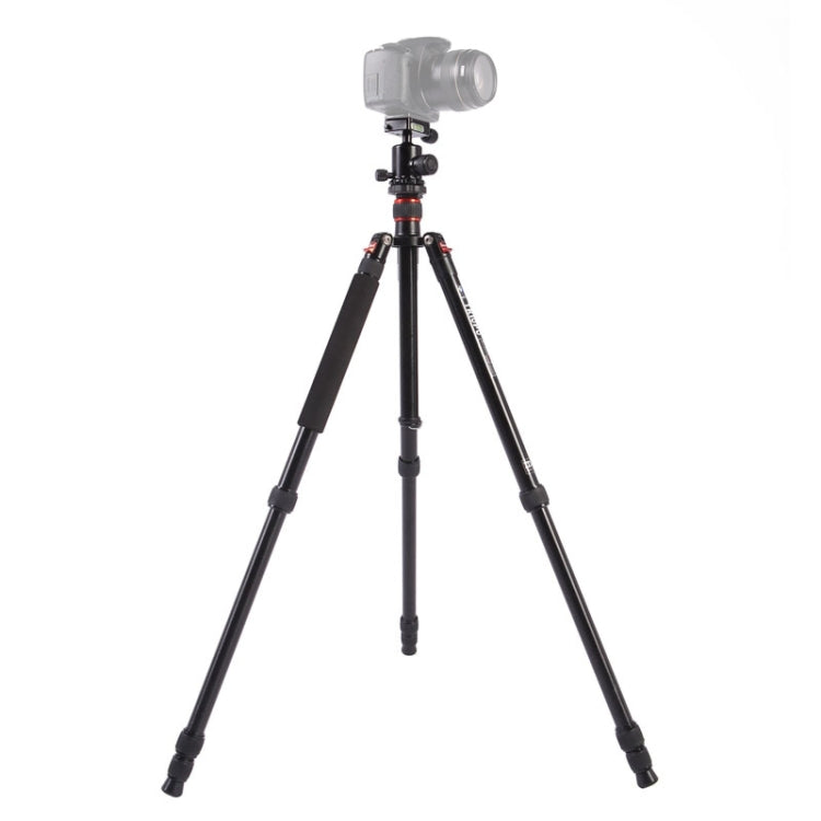 Triopo MT-2504C Trípode de aluminio portátil ajustable con rótula de bola NB-1S para cámara Canon Nikon Sony DSLR, MT-2504C (Black), MT-2504C (Gold)
