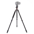 Triopo MT-2504C Trípode de aluminio portátil ajustable con rótula de bola NB-1S para cámara Canon Nikon Sony DSLR, MT-2504C (Black), MT-2504C (Gold)