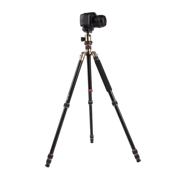 Triopo MT-2504C Trípode de aluminio portátil ajustable con rótula de bola NB-1S para cámara Canon Nikon Sony DSLR, MT-2504C (Black), MT-2504C (Gold)