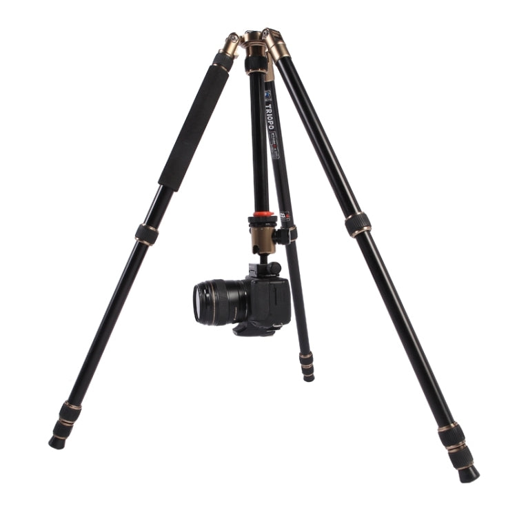 Triopo MT-2504C Trípode de aluminio portátil ajustable con rótula de bola NB-1S para cámara Canon Nikon Sony DSLR, MT-2504C (Black), MT-2504C (Gold)
