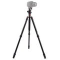Triopo MT-2804C Trípode de aluminio portátil ajustable con rótula de bola NB-2S para cámara Canon Nikon Sony DSLR, MT-2804C (Black), MT-2804C (Gold)