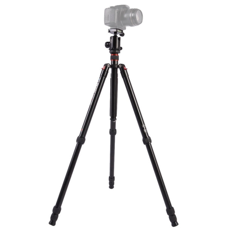 Triopo MT-2804C Trípode de aluminio portátil ajustable con rótula de bola NB-2S para cámara Canon Nikon Sony DSLR, MT-2804C (Black), MT-2804C (Gold)