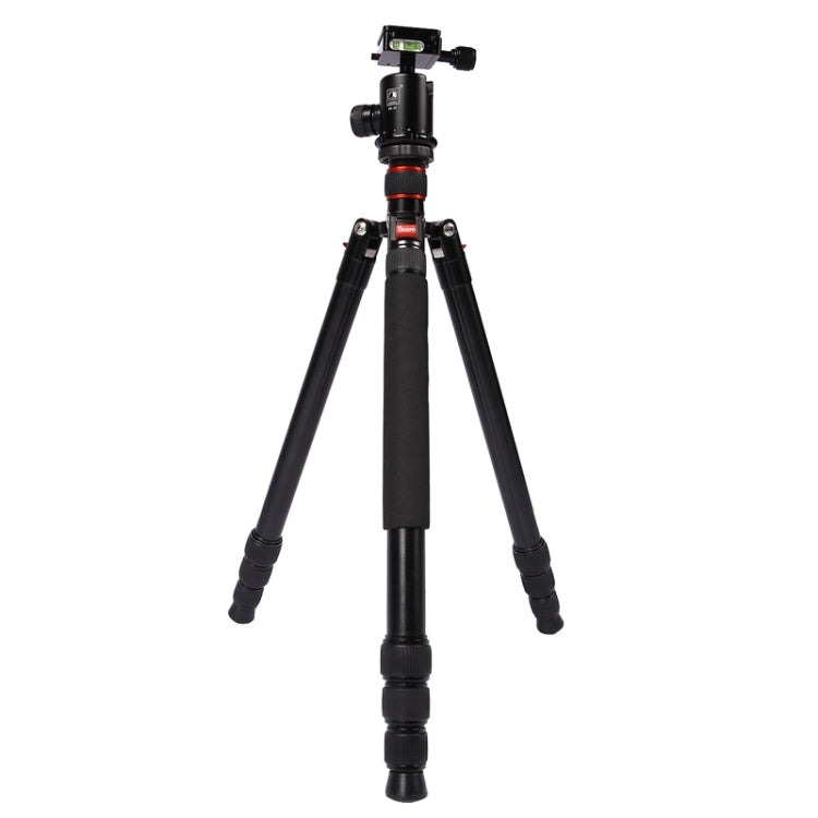 Triopo MT-2804C Trípode de aluminio portátil ajustable con rótula de bola NB-2S para cámara Canon Nikon Sony DSLR, MT-2804C (Black), MT-2804C (Gold)
