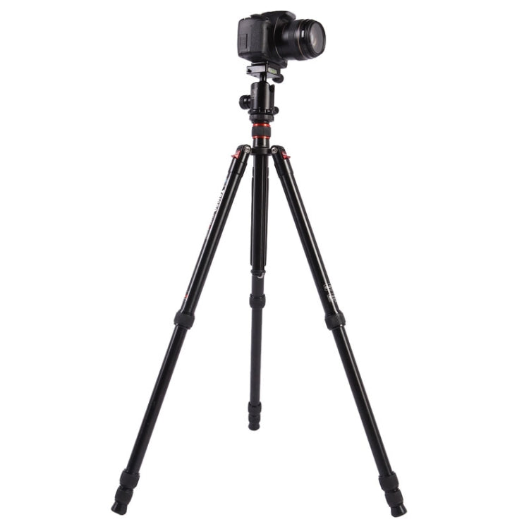 Triopo MT-2804C Trípode de aluminio portátil ajustable con rótula de bola NB-2S para cámara Canon Nikon Sony DSLR, MT-2804C (Black), MT-2804C (Gold)