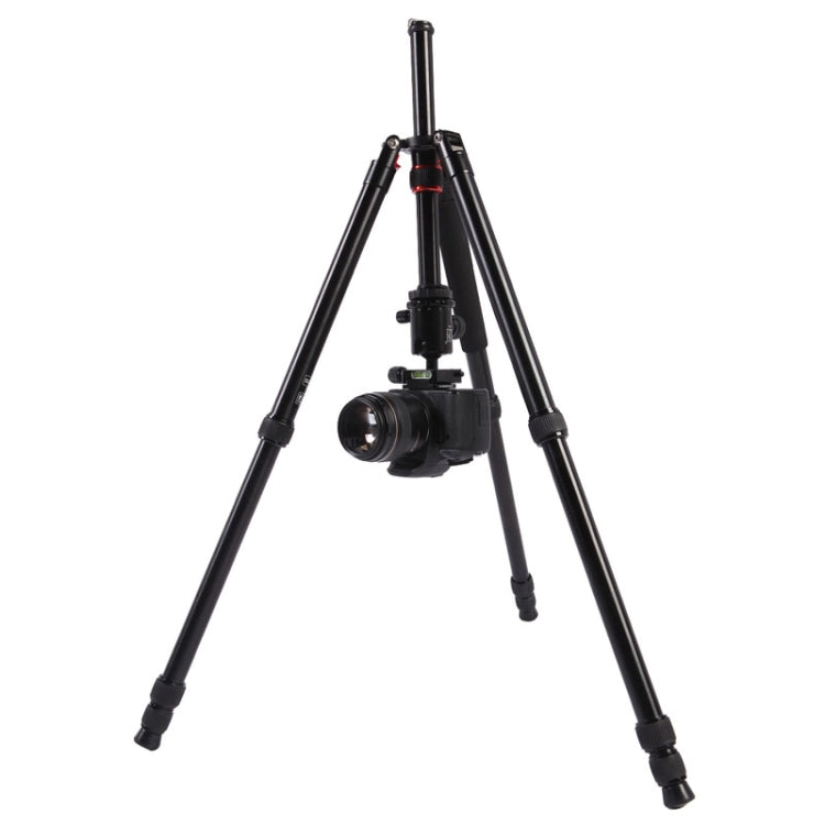 Triopo MT-2804C Trípode de aluminio portátil ajustable con rótula de bola NB-2S para cámara Canon Nikon Sony DSLR, MT-2804C (Black), MT-2804C (Gold)
