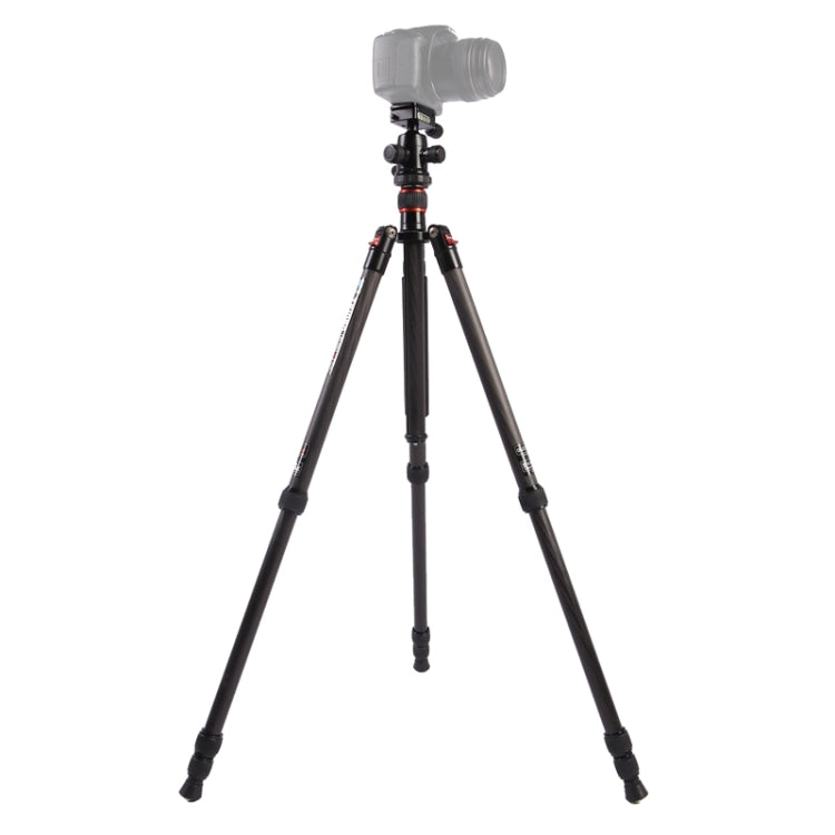 Triopo GT-2504X8.C Trípode de fibra de carbono portátil ajustable con rótula de bola de aluminio B-1 para cámara Canon Nikon Sony DSLR, GT-2504X8.C (Black), GT-2504X8.C (Gold)