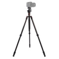Triopo GT-2504X8.C Trípode de fibra de carbono portátil ajustable con rótula de bola de aluminio B-1 para cámara Canon Nikon Sony DSLR, GT-2504X8.C (Black), GT-2504X8.C (Gold)