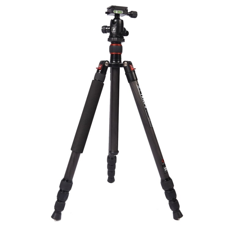 Triopo GT-2504X8.C Trípode de fibra de carbono portátil ajustable con rótula de bola de aluminio B-1 para cámara Canon Nikon Sony DSLR, GT-2504X8.C (Black), GT-2504X8.C (Gold)