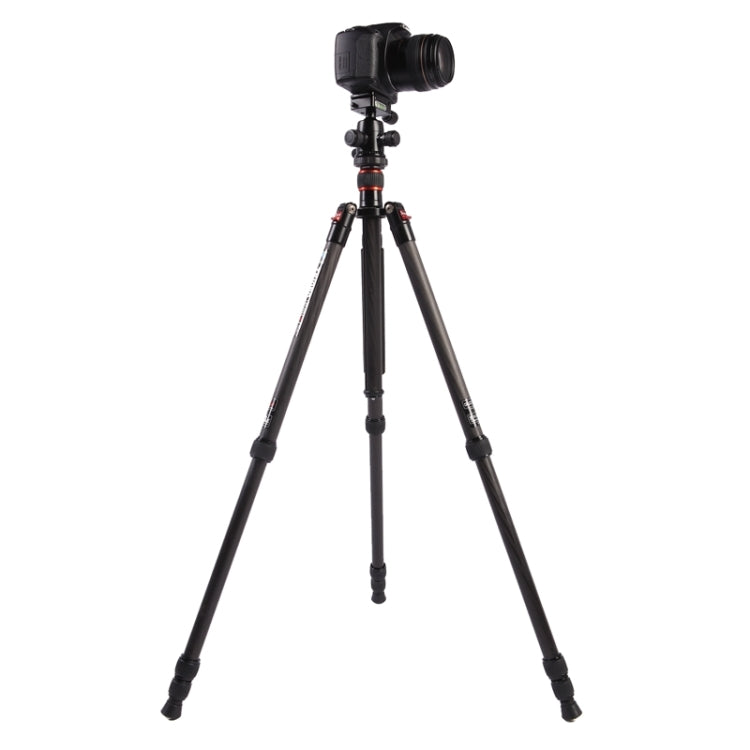 Triopo GT-2504X8.C Trípode de fibra de carbono portátil ajustable con rótula de bola de aluminio B-1 para cámara Canon Nikon Sony DSLR, GT-2504X8.C (Black), GT-2504X8.C (Gold)