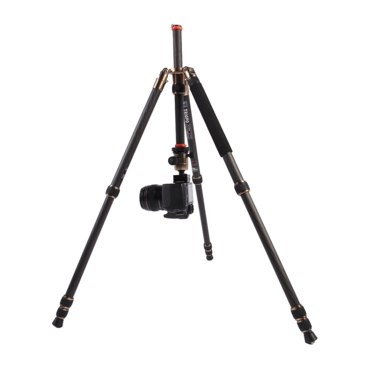 Triopo GT-2504X8.C Trípode de fibra de carbono portátil ajustable con rótula de bola de aluminio B-1 para cámara Canon Nikon Sony DSLR, GT-2504X8.C (Black), GT-2504X8.C (Gold)
