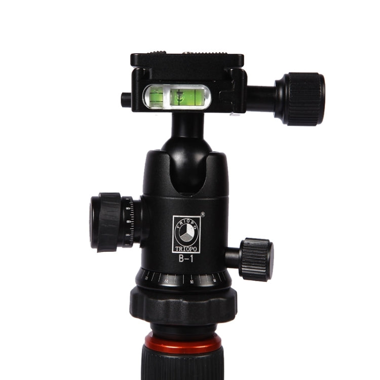 Triopo GT-2504X8.C Trípode de fibra de carbono portátil ajustable con rótula de bola de aluminio B-1 para cámara Canon Nikon Sony DSLR, GT-2504X8.C (Black), GT-2504X8.C (Gold)