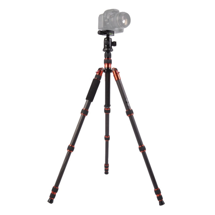 Triopo GT-2505x8.C Trípode de fibra de carbono portátil ajustable con rótula de bola de aluminio B-1 para cámara Canon Nikon Sony DSLR, GT-2505x8.C (Black), GT-2505x8.C (Gold)