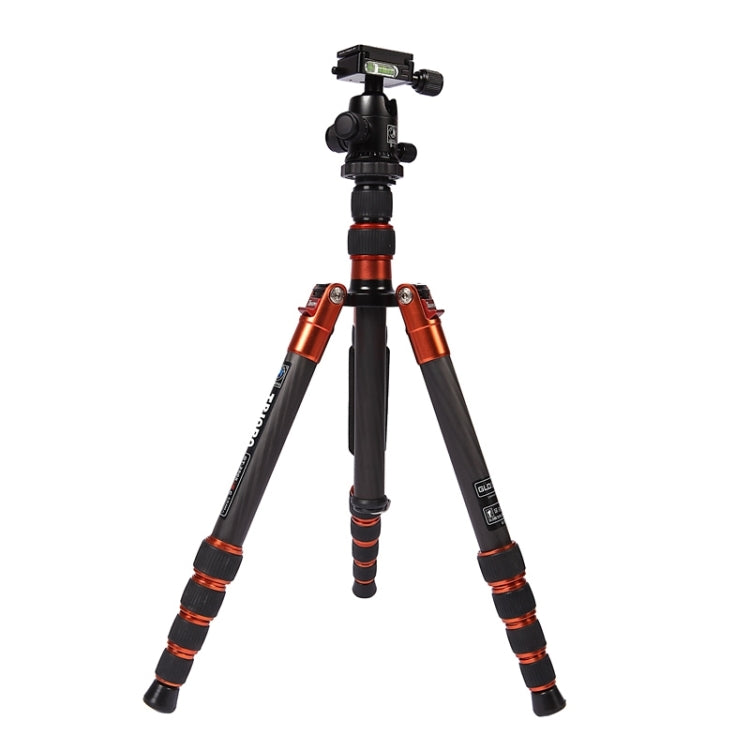 Triopo GT-2505x8.C Trípode de fibra de carbono portátil ajustable con rótula de bola de aluminio B-1 para cámara Canon Nikon Sony DSLR, GT-2505x8.C (Black), GT-2505x8.C (Gold)