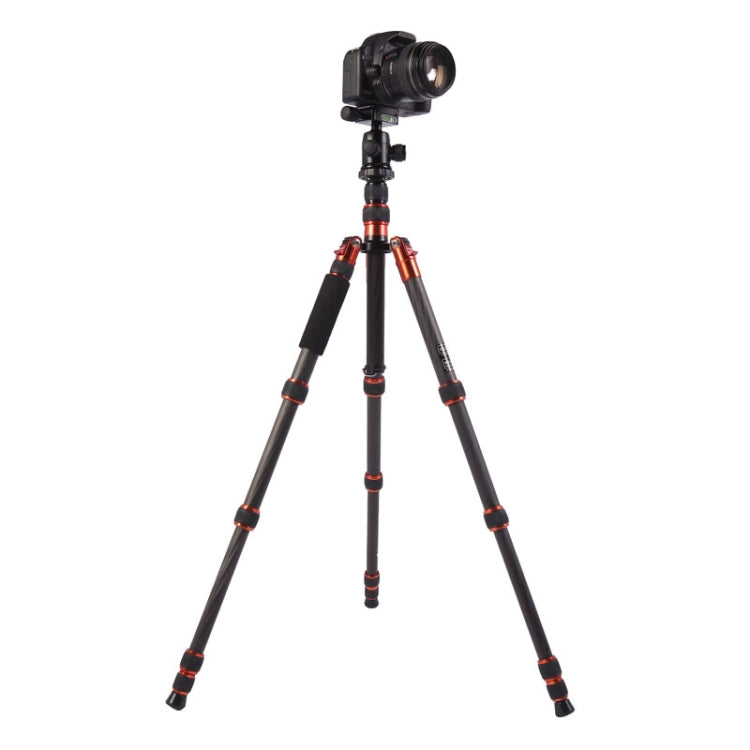 Triopo GT-2505x8.C Trípode de fibra de carbono portátil ajustable con rótula de bola de aluminio B-1 para cámara Canon Nikon Sony DSLR, GT-2505x8.C (Black), GT-2505x8.C (Gold)