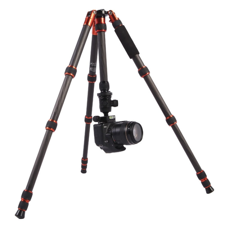 Triopo GT-2505x8.C Trípode de fibra de carbono portátil ajustable con rótula de bola de aluminio B-1 para cámara Canon Nikon Sony DSLR, GT-2505x8.C (Black), GT-2505x8.C (Gold)