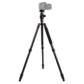 Triopo GT-2804X8.C Trípode de fibra de carbono portátil ajustable con rótula de bola de aluminio B-2 para cámara Canon Nikon Sony DSLR, GT-2804X8.C (Black), GT-2804X8.C (Gold)