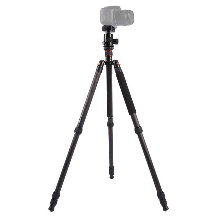 Triopo GT-2804X8.C Trípode de fibra de carbono portátil ajustable con rótula de bola de aluminio B-2 para cámara Canon Nikon Sony DSLR, GT-2804X8.C (Black), GT-2804X8.C (Gold)