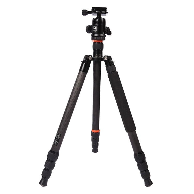 Triopo GT-2804X8.C Trípode de fibra de carbono portátil ajustable con rótula de bola de aluminio B-2 para cámara Canon Nikon Sony DSLR, GT-2804X8.C (Black), GT-2804X8.C (Gold)