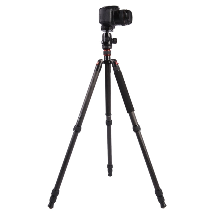 Triopo GT-2804X8.C Trípode de fibra de carbono portátil ajustable con rótula de bola de aluminio B-2 para cámara Canon Nikon Sony DSLR, GT-2804X8.C (Black), GT-2804X8.C (Gold)