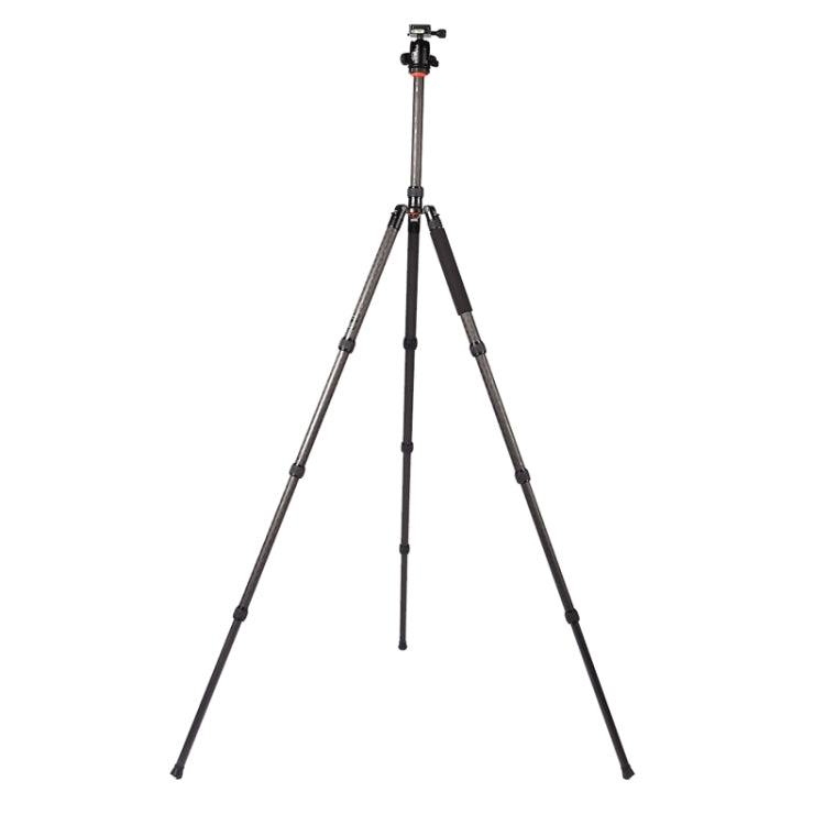 Triopo GT-2804X8.C Trípode de fibra de carbono portátil ajustable con rótula de bola de aluminio B-2 para cámara Canon Nikon Sony DSLR, GT-2804X8.C (Black), GT-2804X8.C (Gold)