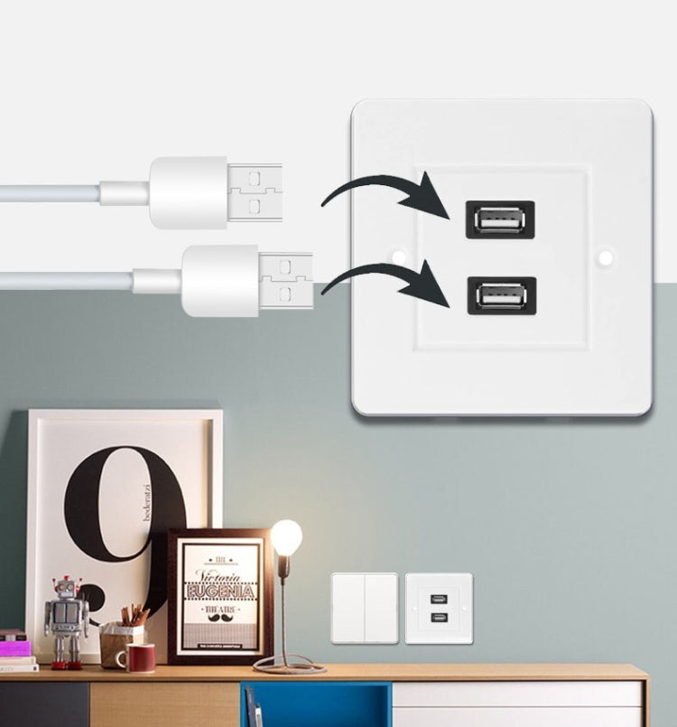 Panel de placa de pared con placa de cargador de pared para el hogar con enchufes hembra USB 2,0 duales, 2 Ports USB 2.0