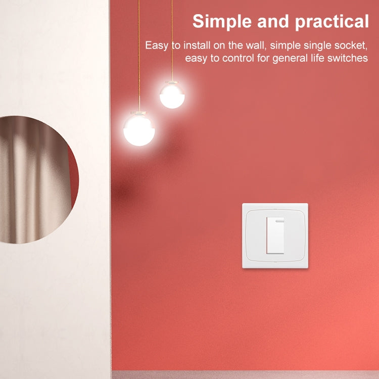 Placa de pared con tornillo para inserciones en blanco - 1 orificio, uso en todo el mundo
