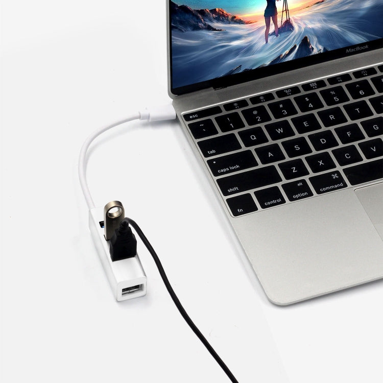 Adaptador HUB portátil USB-C / Type-C macho a 4 puertos USB hembra, 4 Ports USB (White)