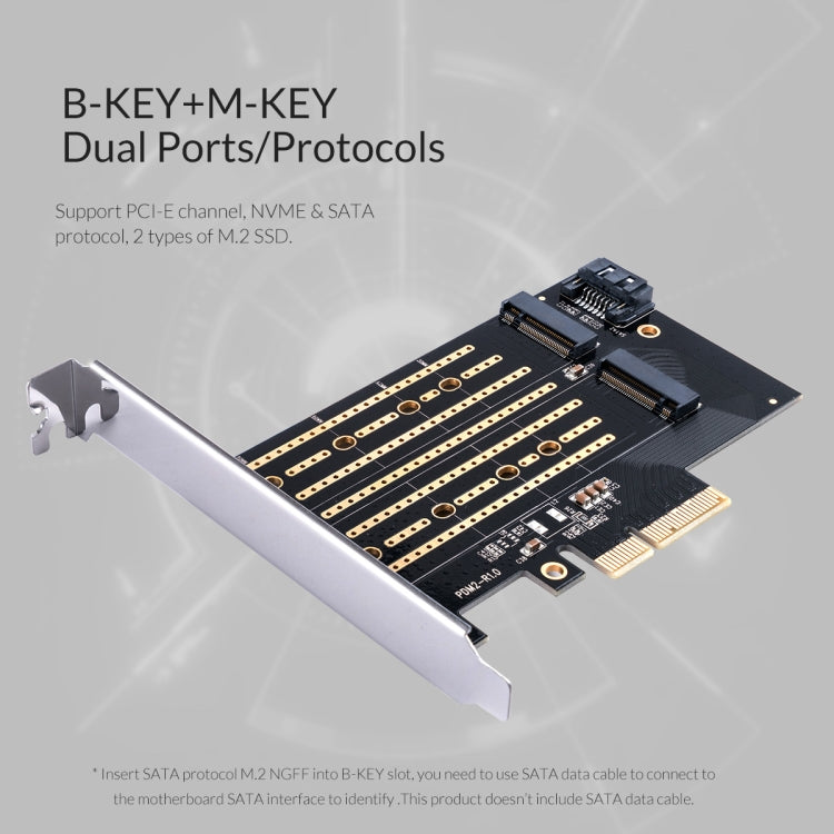 Tarjeta de expansión ORICO PDM2 M.2 NVME a PCI-E 3.0 X4