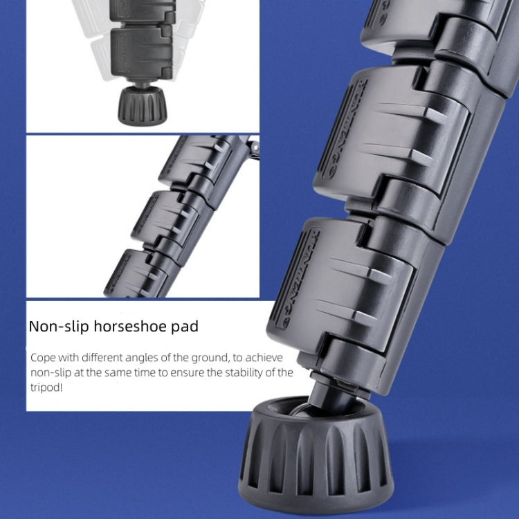 Trípode de aluminio con cabeza hidráulica profesional YUNTENG VCT-6006, VCT-6006