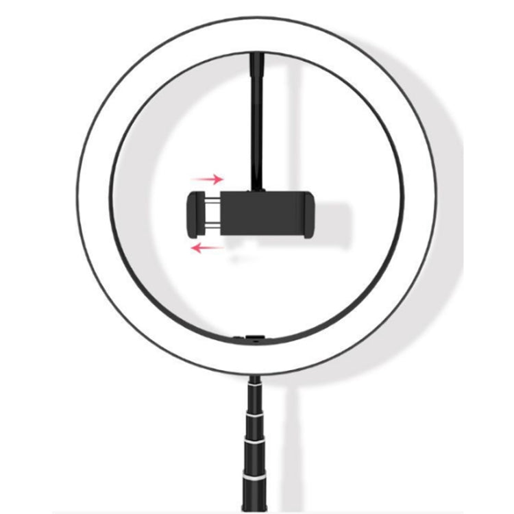 Luz de relleno profesional de nivel de estudio plegable portátil Soporte para teléfono móvil Anillo de luz LED