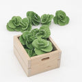 5 uds 1:12 Mini casa de juguete vegetal simulación repollo accesorio de cocina Mini casa de juguete, 5 PCS Cabbage