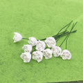 10 Uds. 1:12 Mini casa de muñecas jardín dormitorio escena decoración rosas, White