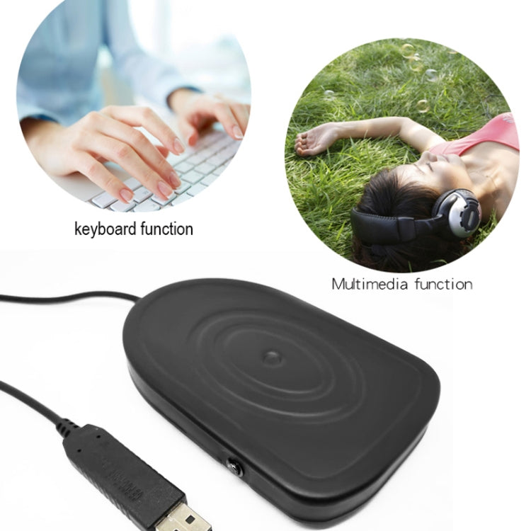Adaptador de teclado con interruptor de Control de Pedal USB Pcsensor para ordenador, FS2016, FS2019