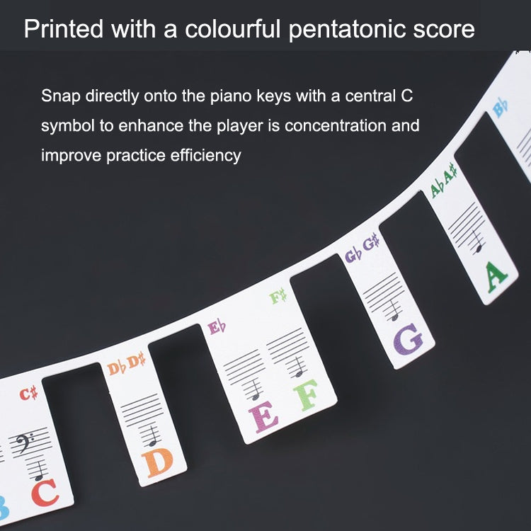 Pegatinas de colores para teclado de Piano para principiantes, accesorios para instrumentos musicales, Imitation Piano Keys 61 Keys, Piano Keys 61 keys, Piano Keys 88 keys