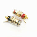 Conector de altavoz de Panel de ingeniería de Audio, conector Banana de 4mm, transparente, cristal, 10 Uds./5 pares